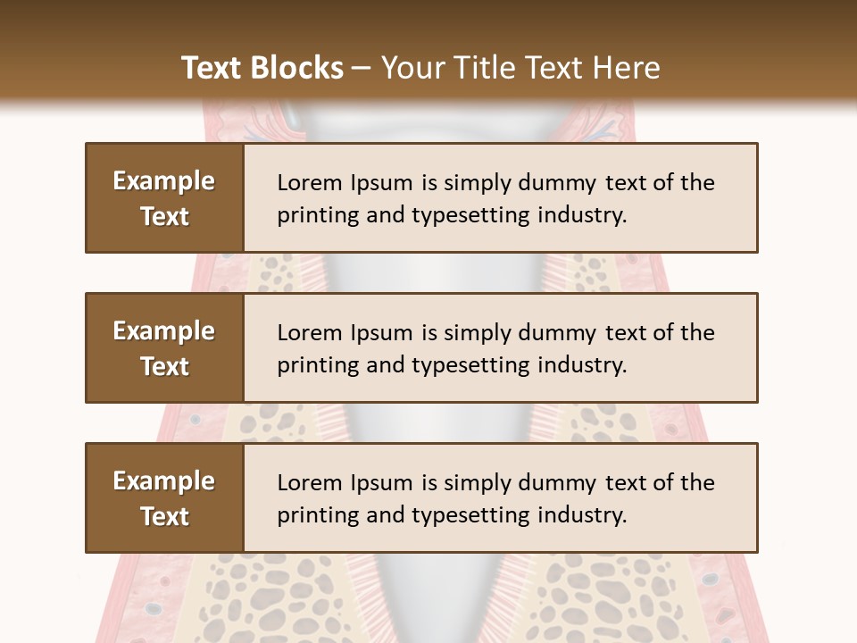 Health Plaque Infection PowerPoint Template