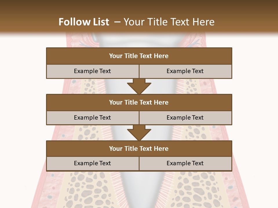 Health Plaque Infection PowerPoint Template