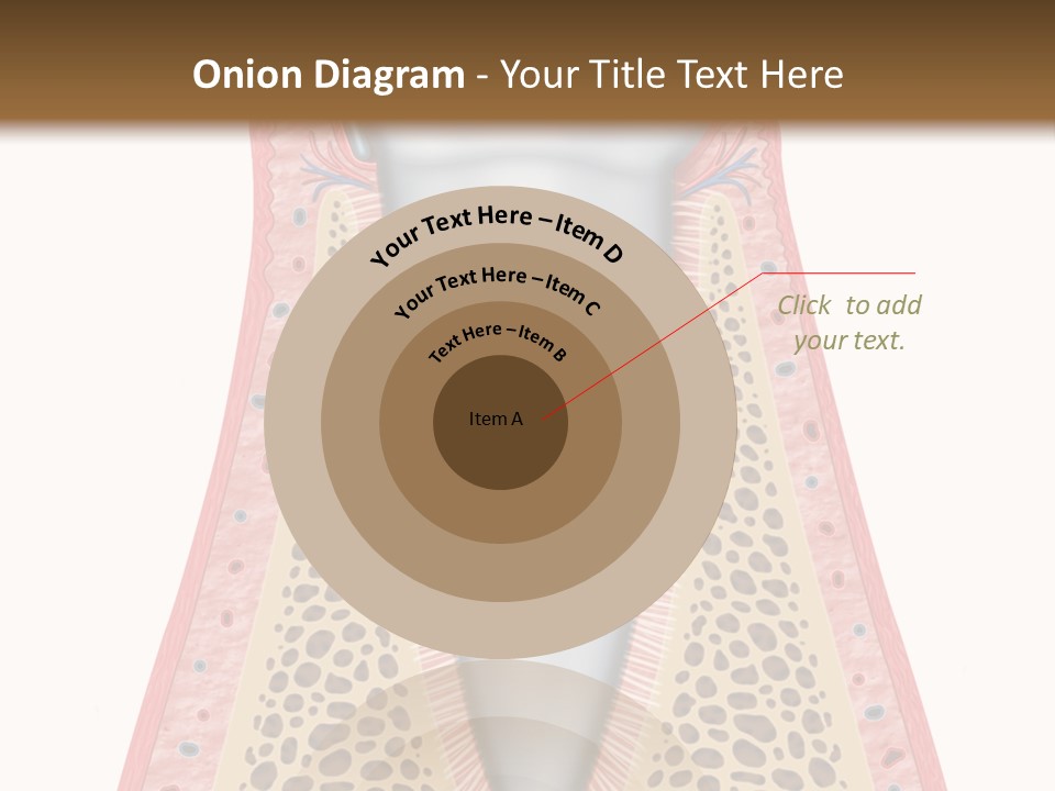 Health Plaque Infection PowerPoint Template