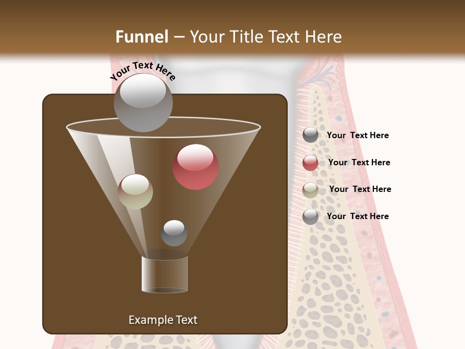 Health Plaque Infection PowerPoint Template