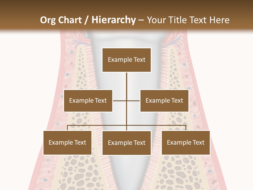Health Plaque Infection PowerPoint Template