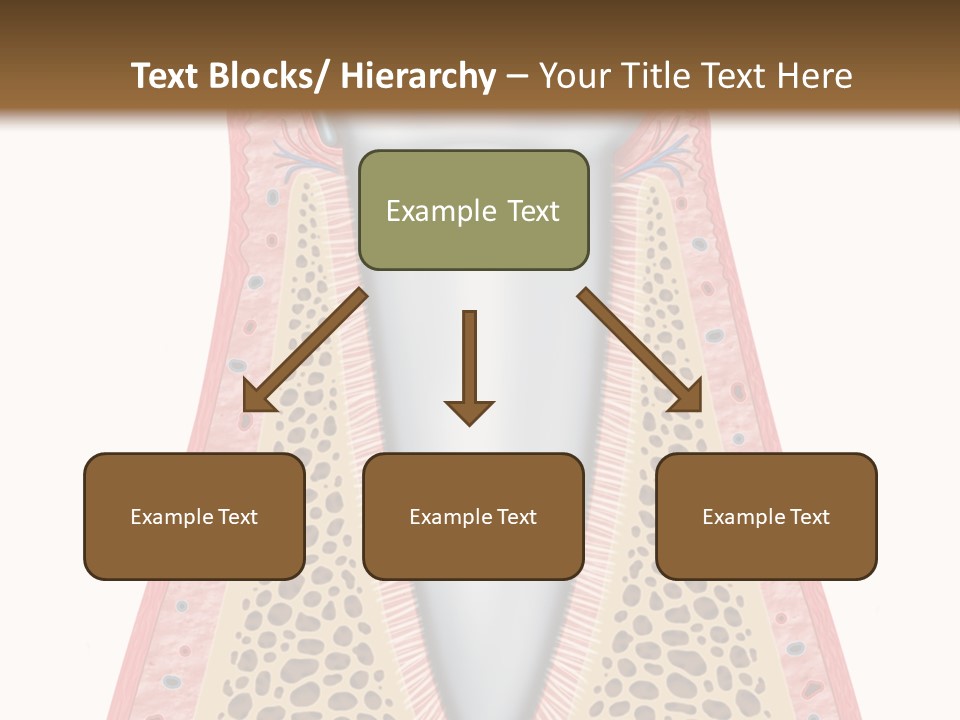Health Plaque Infection PowerPoint Template