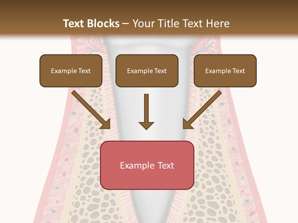Health Plaque Infection PowerPoint Template