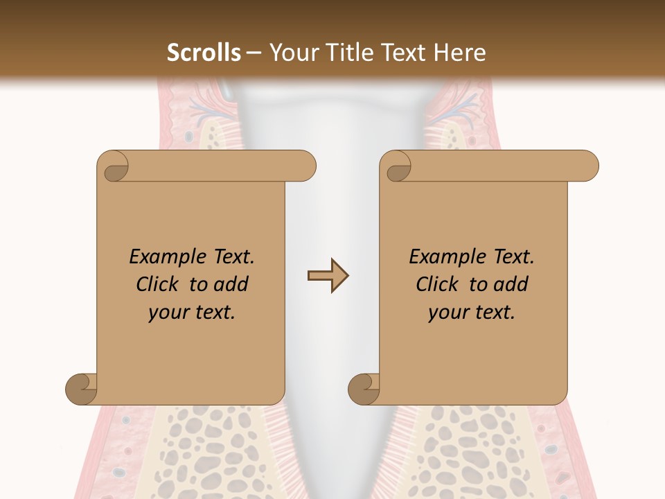 Health Plaque Infection PowerPoint Template