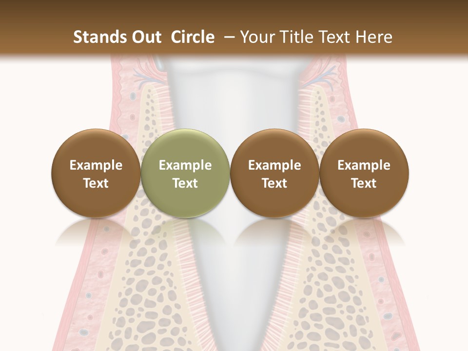 Health Plaque Infection PowerPoint Template