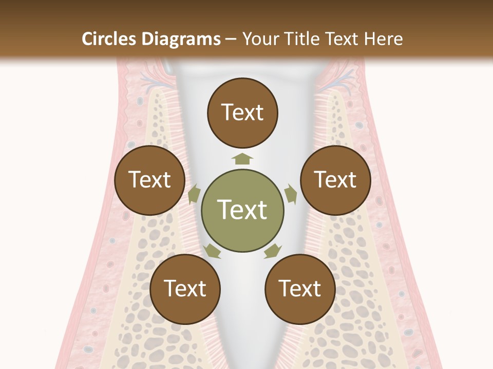 Health Plaque Infection PowerPoint Template