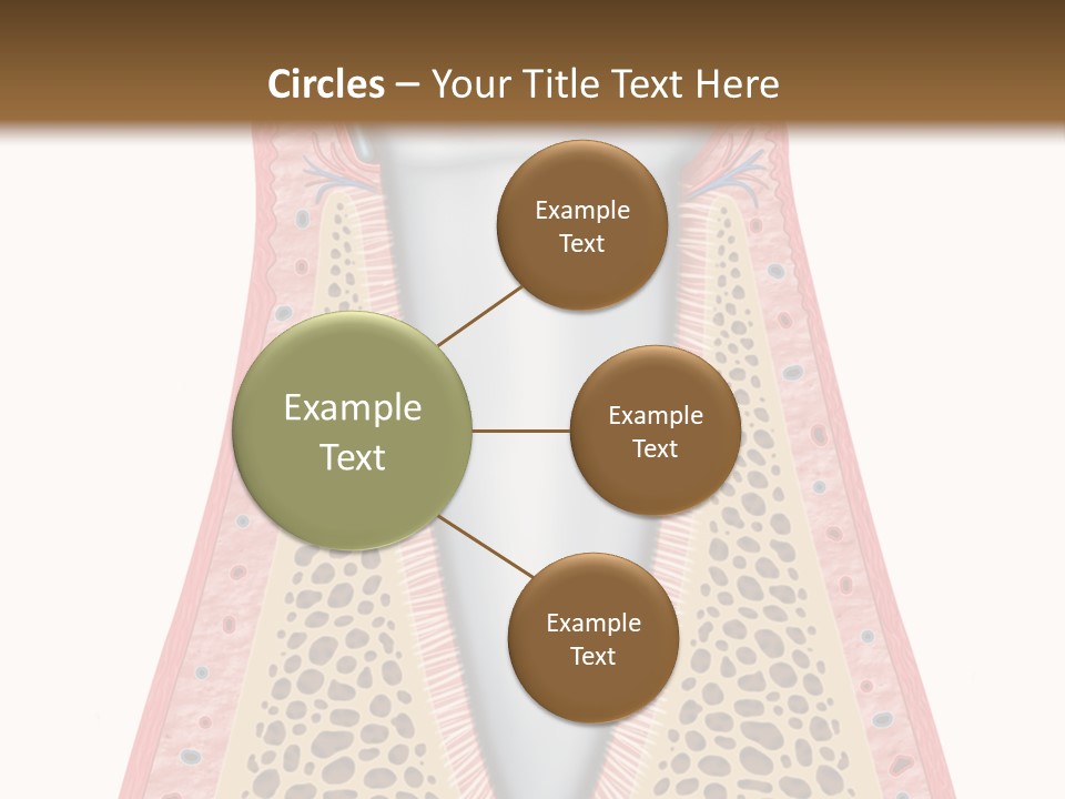 Health Plaque Infection PowerPoint Template