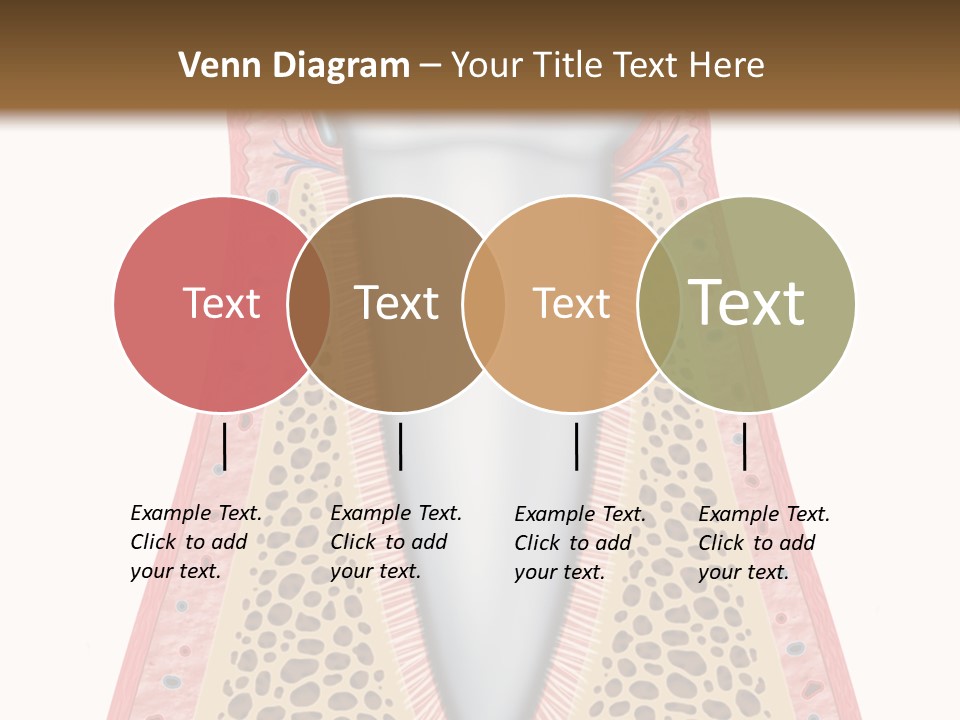 Health Plaque Infection PowerPoint Template