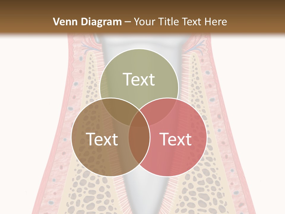 Health Plaque Infection PowerPoint Template