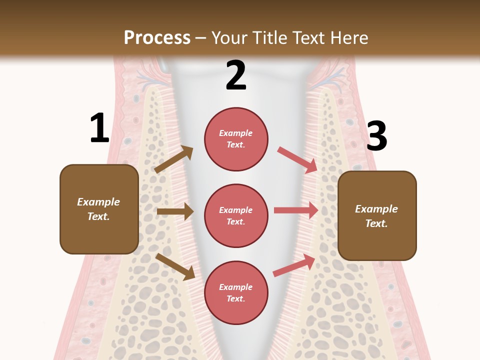 Health Plaque Infection PowerPoint Template