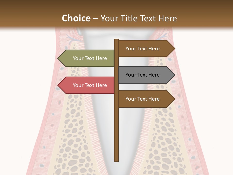 Health Plaque Infection PowerPoint Template