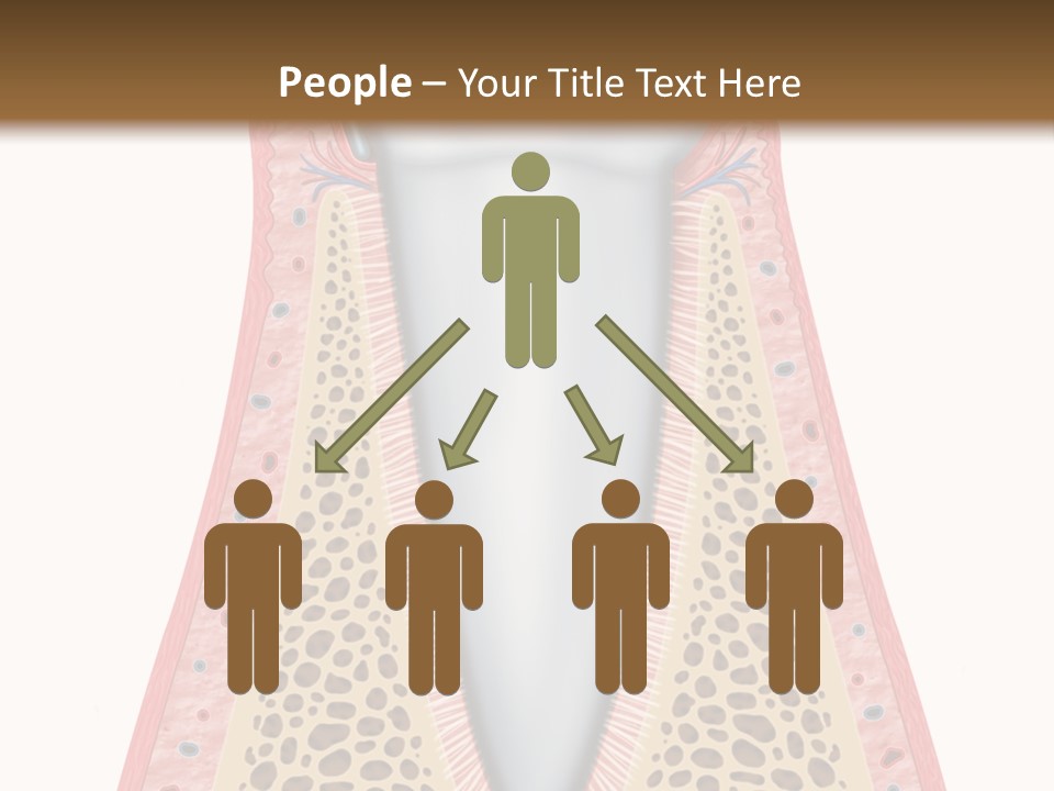 Health Plaque Infection PowerPoint Template