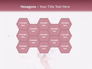 Forest Adult Fresh PowerPoint Template