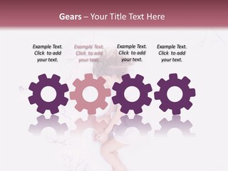 Forest Adult Fresh PowerPoint Template