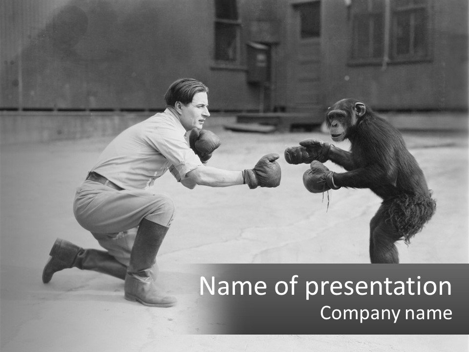Rivalry Animal Profile PowerPoint Template