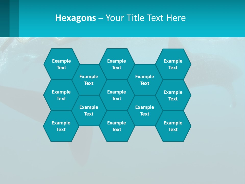 Ocean Underwater Scene Ecology PowerPoint Template