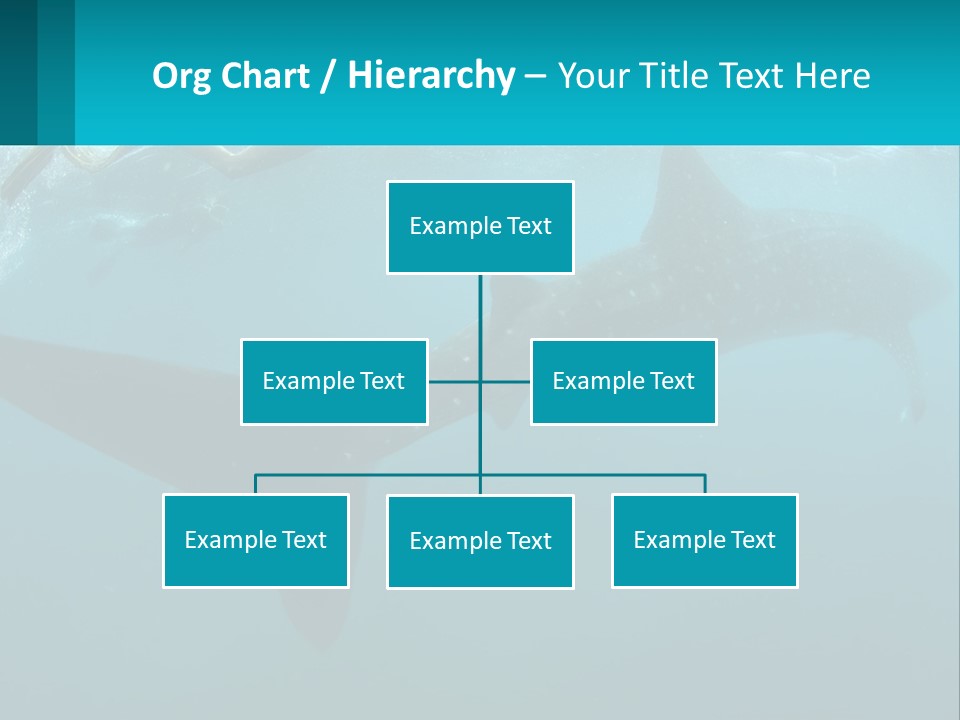 Ocean Underwater Scene Ecology PowerPoint Template