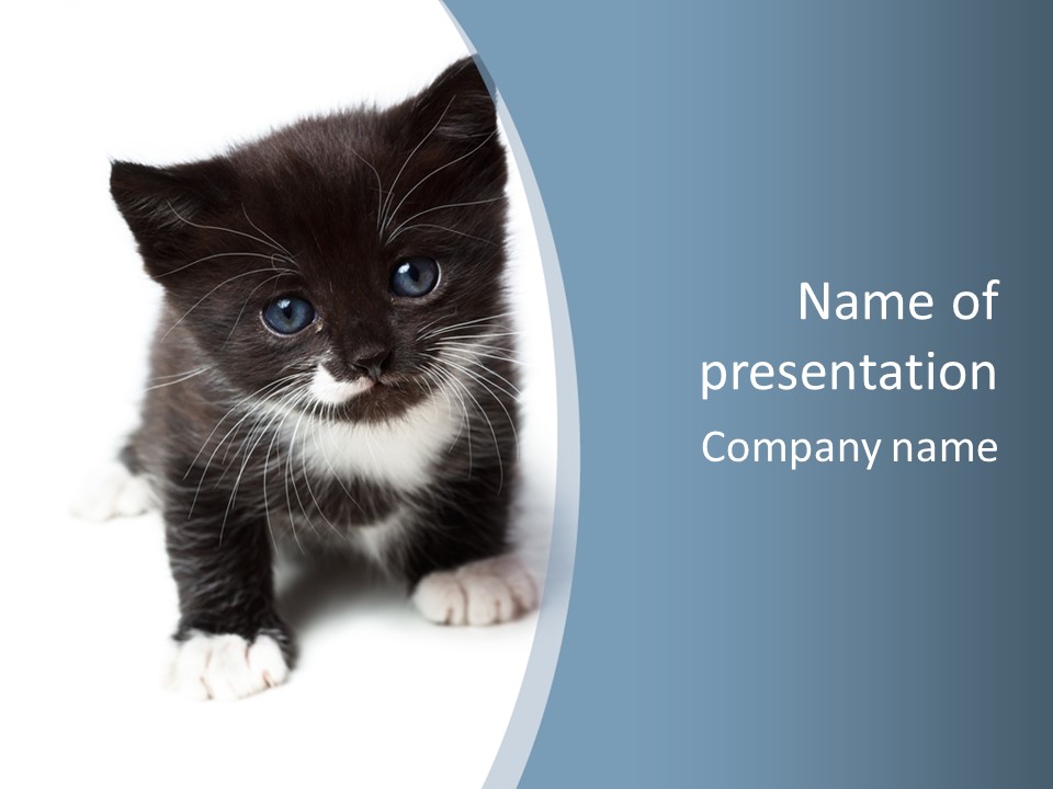 Unit Conditioner White PowerPoint Template