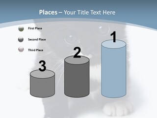 Unit Conditioner White PowerPoint Template
