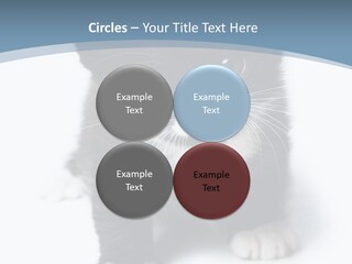 Unit Conditioner White PowerPoint Template