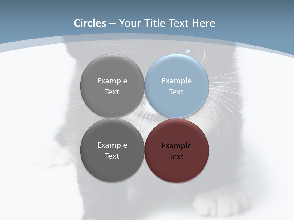 Unit Conditioner White PowerPoint Template