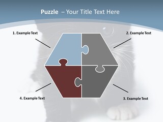 Unit Conditioner White PowerPoint Template