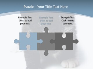 Unit Conditioner White PowerPoint Template