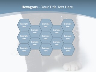 Unit Conditioner White PowerPoint Template