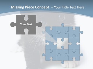 Unit Conditioner White PowerPoint Template