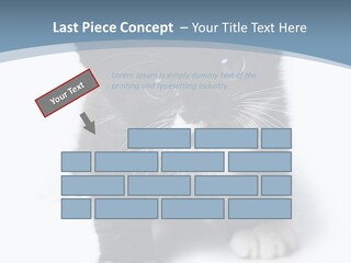Unit Conditioner White PowerPoint Template