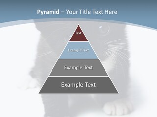 Unit Conditioner White PowerPoint Template