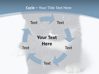 Unit Conditioner White PowerPoint Template