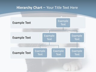 Unit Conditioner White PowerPoint Template