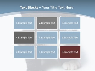 Unit Conditioner White PowerPoint Template