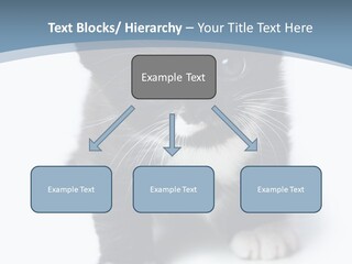 Unit Conditioner White PowerPoint Template