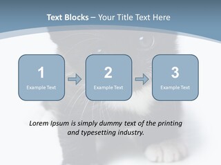 Unit Conditioner White PowerPoint Template