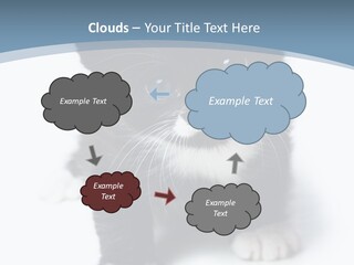 Unit Conditioner White PowerPoint Template