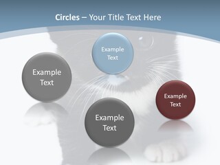 Unit Conditioner White PowerPoint Template