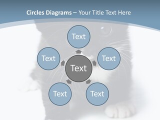 Unit Conditioner White PowerPoint Template