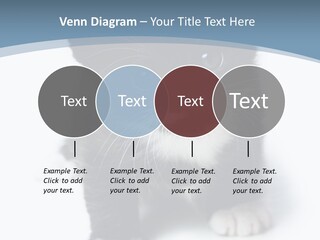 Unit Conditioner White PowerPoint Template