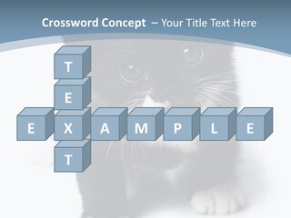 Unit Conditioner White PowerPoint Template