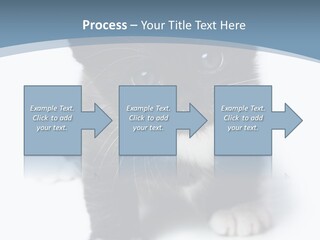Unit Conditioner White PowerPoint Template