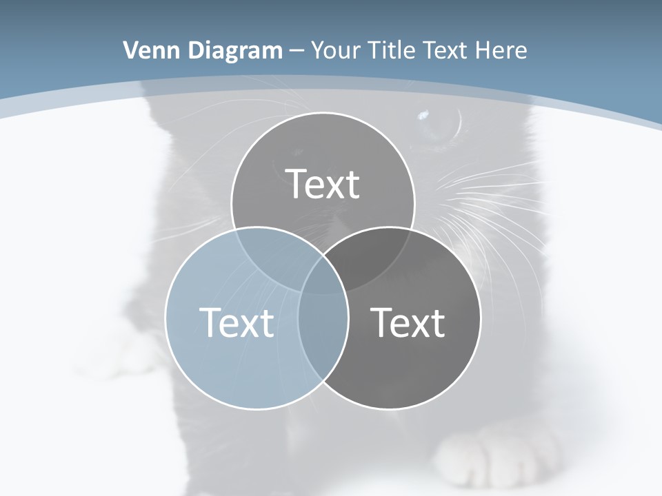 Unit Conditioner White PowerPoint Template