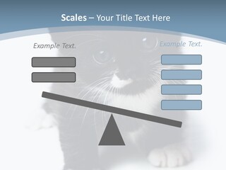 Unit Conditioner White PowerPoint Template