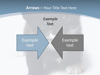 Unit Conditioner White PowerPoint Template