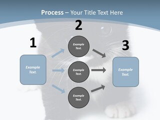 Unit Conditioner White PowerPoint Template