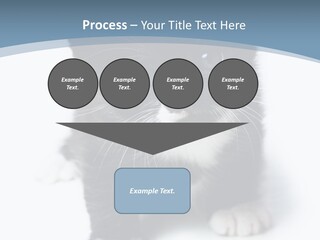 Unit Conditioner White PowerPoint Template
