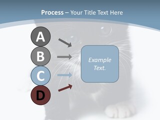 Unit Conditioner White PowerPoint Template