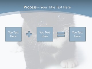 Unit Conditioner White PowerPoint Template