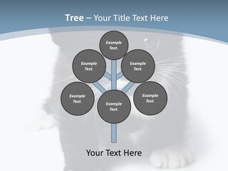 Unit Conditioner White PowerPoint Template